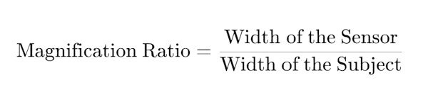 Macro factor calculation formula for MUNA Hohenbrunn