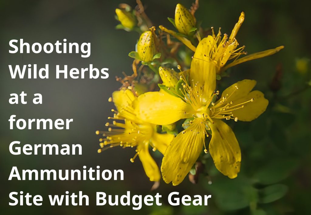 MUNA Hohenbrunn Wild Herbs Photography