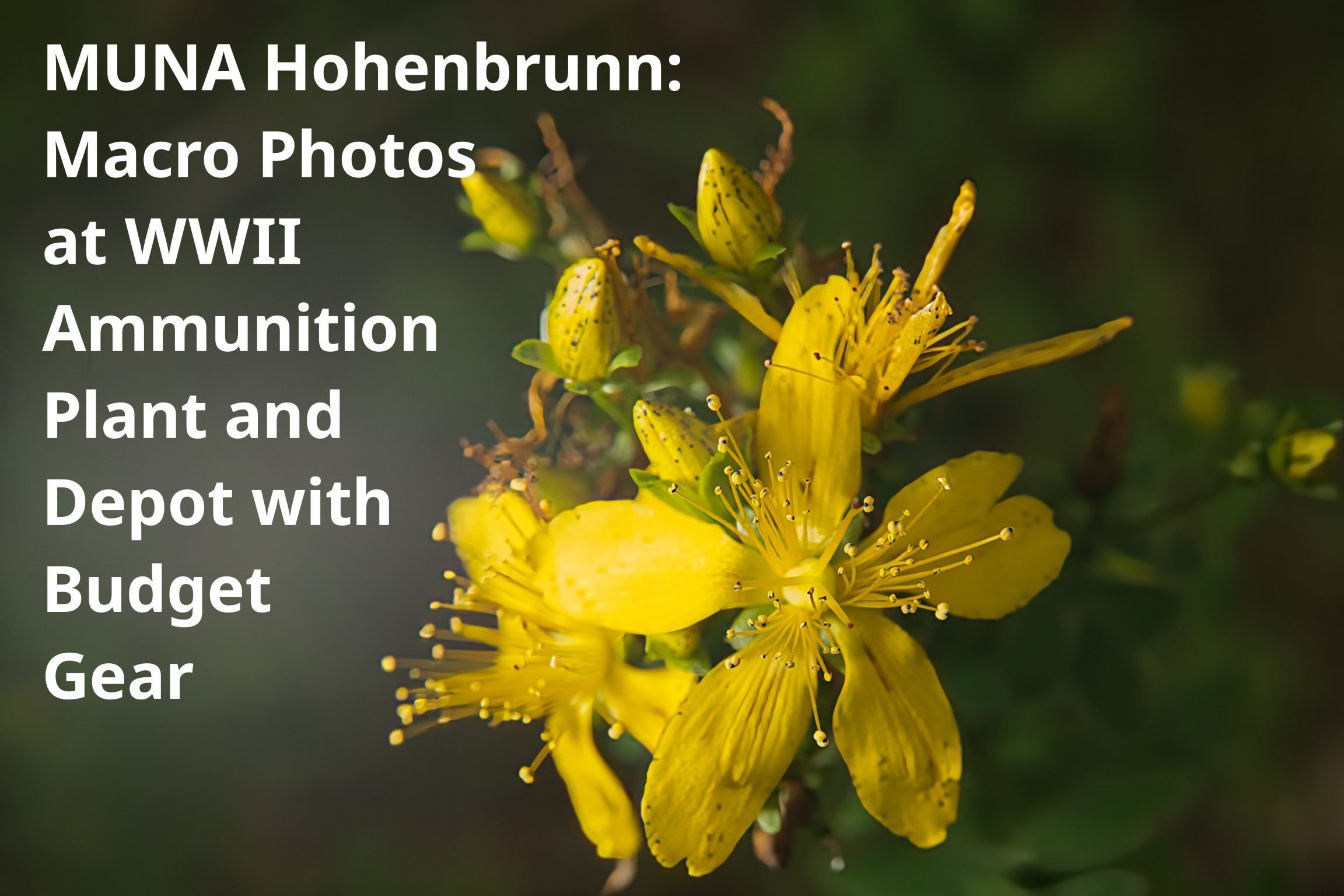 MUNA Hohenbrunn Macro Photos at WWII Ammunition Plant and Depot with Budget Gear
