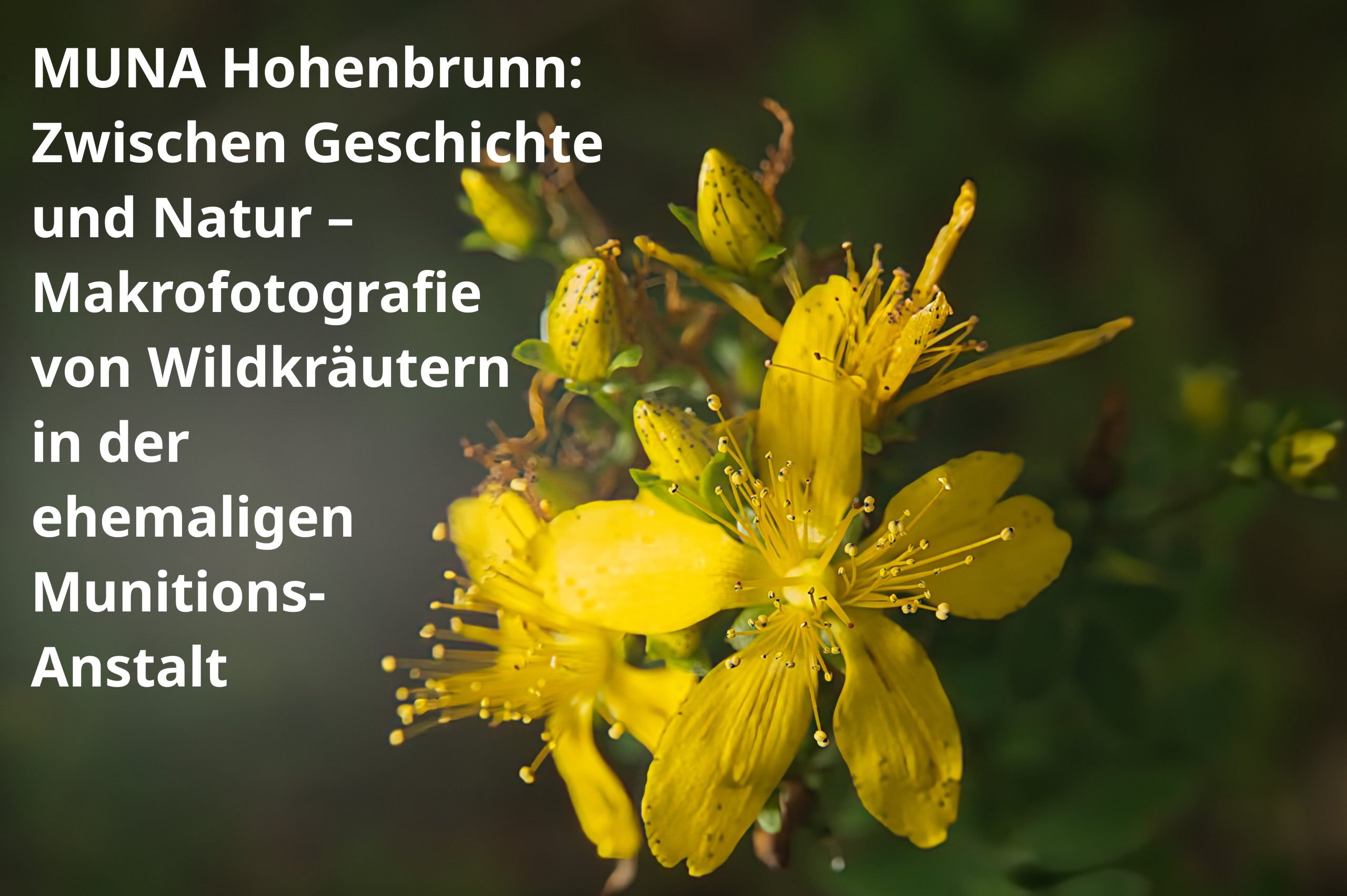 MUNA Hohenbrunn Russenfriedhof Zwangsarbeiter MUNA Hohenbrunn Russenfriedhof Zwangsarbeiter