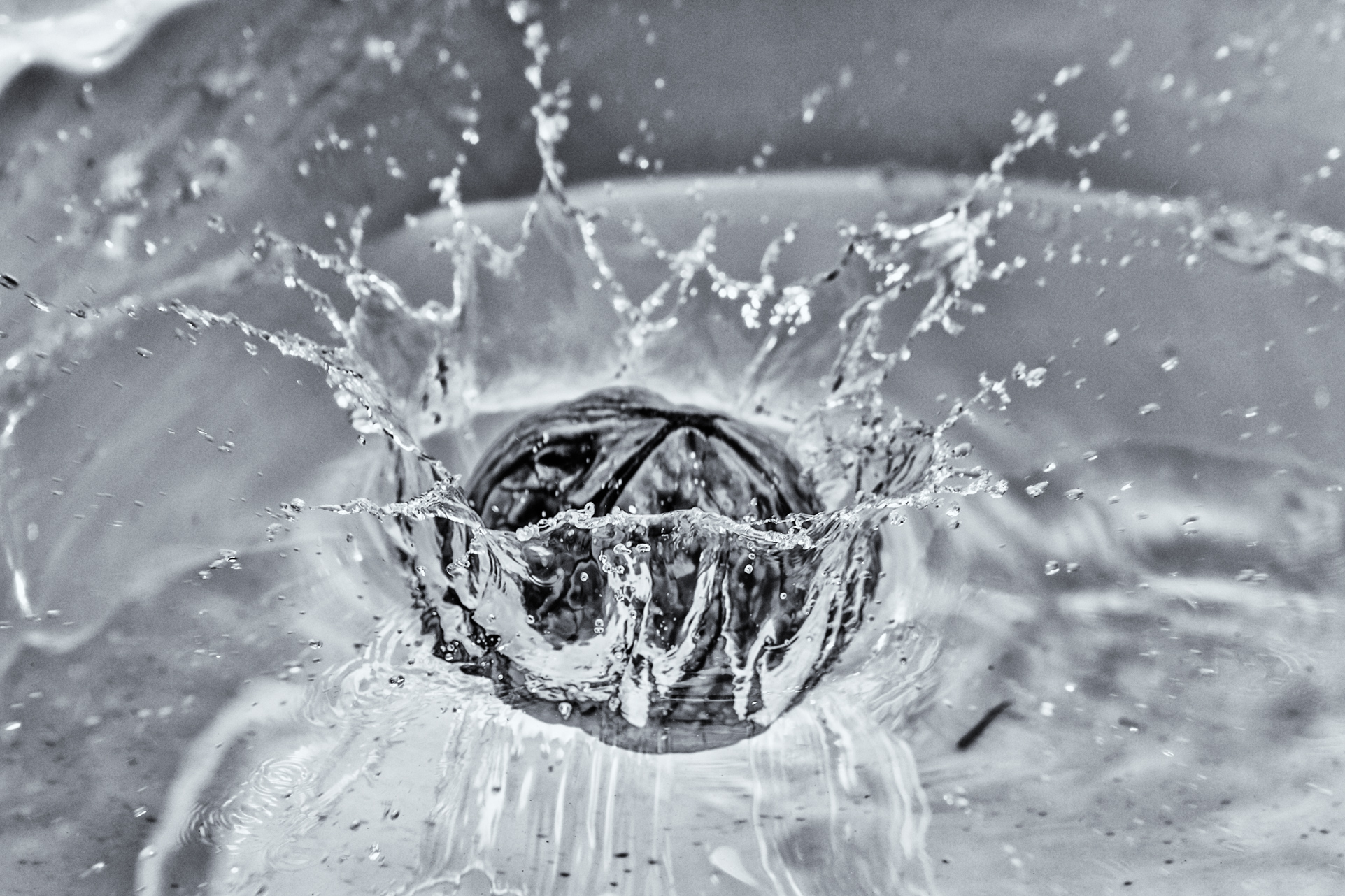 Look at all macro photos in the 3 photo galleries below