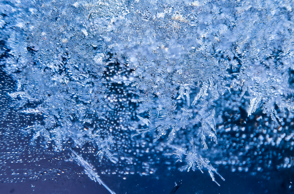 Macro photo with reverse classic Konica lens - click on photo to enlarge