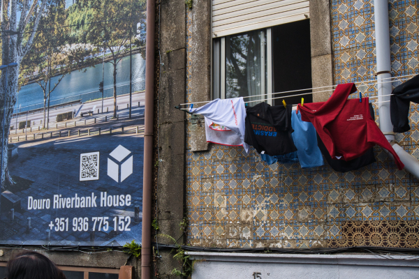 Sony FE 16-50mm lens on Sony a6100 01196