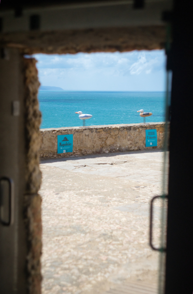 Carl Zeiss Jena Biotar 58mm f2 lens on Sony A7ii 09765