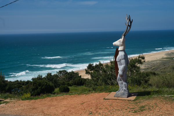 Carl Zeiss Jena Biotar 58mm f2 lens on Sony A7ii 09922