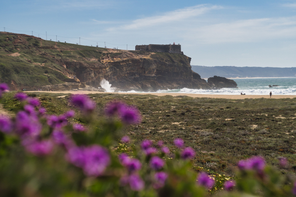 Carl Zeiss Jena Biotar 58mm f2 lens on Sony a6100  01727 - the Biotar equals to a 87mm lens when adapted to a APS-C camera