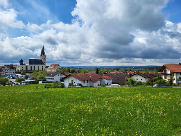 A1 Samsung S21 FE 26mm 20240418 120513