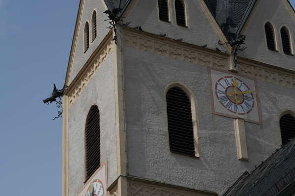 A5 Sony a7cii Samyang 135mm f5-6 A7C04346 sharp