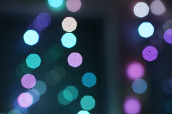 A7 04265 back bokeh Sony FE 24-240mm aperture f6.9+