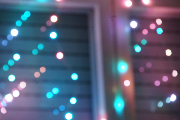 A7 04274 front bokeh Sony FE 24-240mm aperture f6.9+