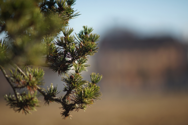 A7 04331 Carl Zeiss T* 180mm f2.8 Olympia Sonnar West Germany