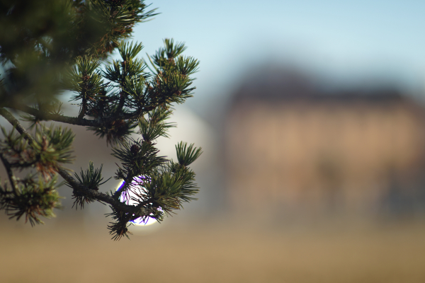 A7 04428 Carl Zeiss Jena  180mm f2.8 Olympia Sonnar East Germany