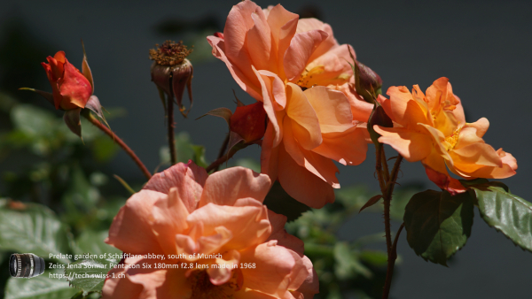 A7 07224 Olympia Sonnar 180mm 4K UHD