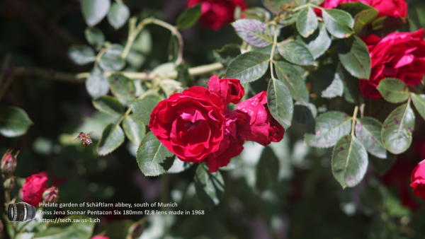 A7 07371 Olympia Sonnar 180mm 4K UHD