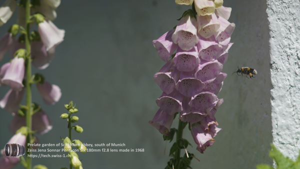 A7 07398 Olympia Sonnar 180mm 4K UHD