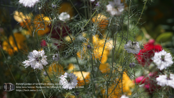 A7 07561 Olympia Sonnar 180mm 4K UHD