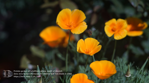 A7 07575 Olympia Sonnar 180mm 4K UHD