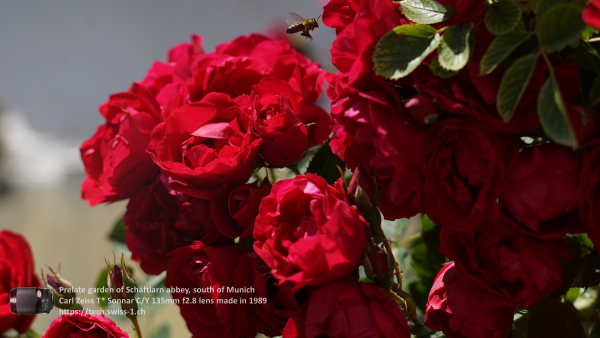 A7 07734 Contax Carl Zeiss Sonnar 135mm 16-mm-tube 4K UHD