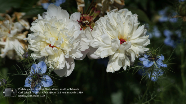 A7 07788 Contax Carl Zeiss Sonnar 135mm 16-mm-tube 4K UHD