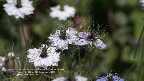 A7 08326 Canon FD 200mm 16mm-tube 4K UHD