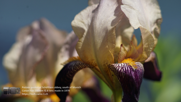 A7 08329 Canon FD 200mm 16mm-tube 4K UHD