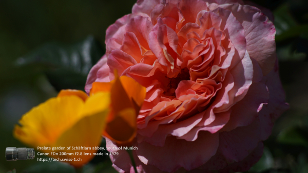 A7 08336 Canon FD 200mm 16mm-tube 4K UHD