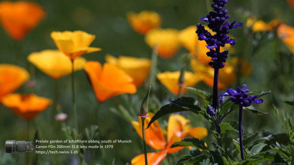 A7 08361 Canon FD 200mm 16mm-tube 4K UHD