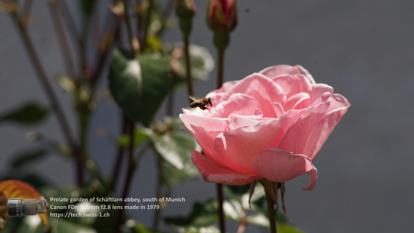 A7 08449 Canon FD 200mm 4K UHD