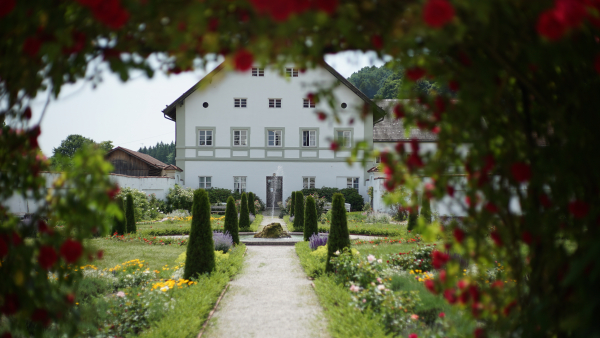 Canon EF 50mm f1.8 STM A7 05474