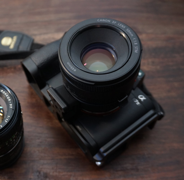 Canon EF 50mm f1.8 adapted to Sony a7ii 1024px DSC02314