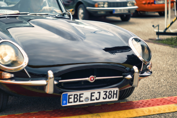 Carl Zeiss Biotar 58mm f2 on Sony a6100 APS-C camera DSC05719