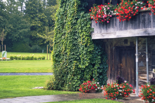 Carl Zeiss Biotar 58mm f2 on Sony a6100 APS-C camera DSC07667