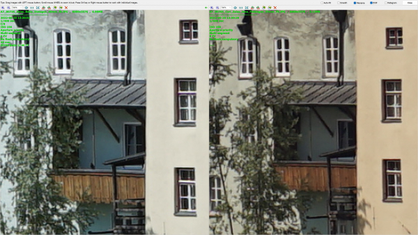 Center-A7ii-full-frame-at-f8-Distagon-vs.-Flektogon-2022-06-06-105707