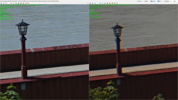 Corner-A7ii-full-frame-at-f8-Distagon-vs.-Flektogon-2022-06-06-105707