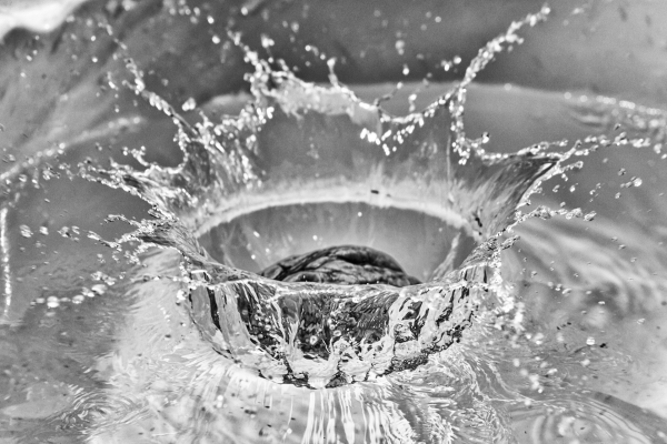 Macro photo with additional light barrier and trigger - click on photo to enlarge