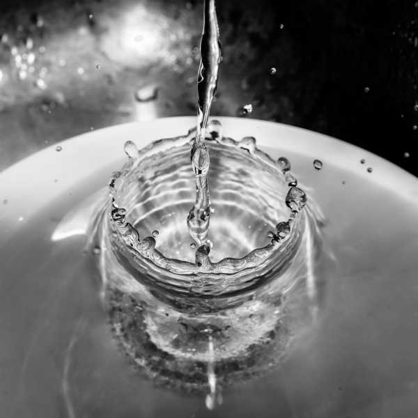 Macro photo with additional light barrier and trigger - click on photo to enlarge