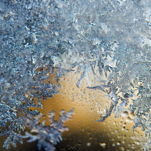 Macro photo with reverse classic Konica lens - click on photo to enlarge