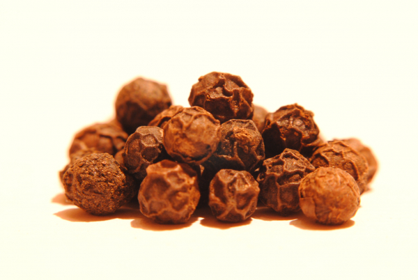 Macro photo with reverse classic Konica lens - click on photo to enlarge