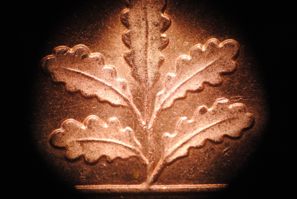 Macro photo with reverse classic Konica lens - click on photo to enlarge