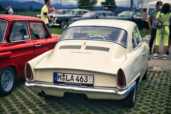 Helios 44M-4 58mm f2 on Sony a7ii full-frame camera A7-06177