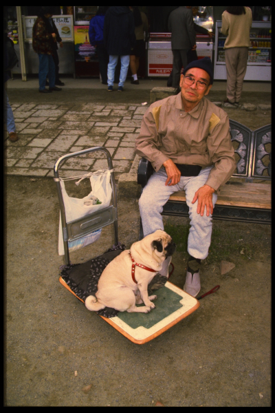 Kodak-Photo-CD-IMG0074 2048x3072 pixel