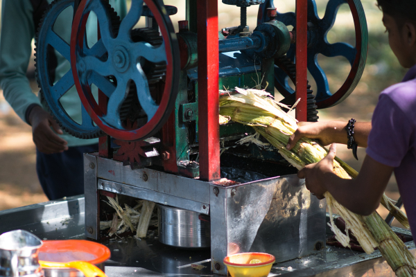 Nikkor-Ai-S-105mm-f2.5-lens-Sony-a6000-camera-DSC03199