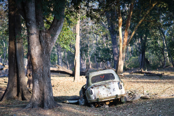 Nikkor-Ai-S-105mm-f2.5-lens-Sony-a7ii-camera-A7 02624