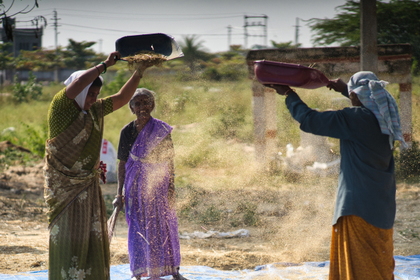 Nikkor-Ai-S-105mm-f2.5-lens-Sony-a7ii-camera-A7 02977