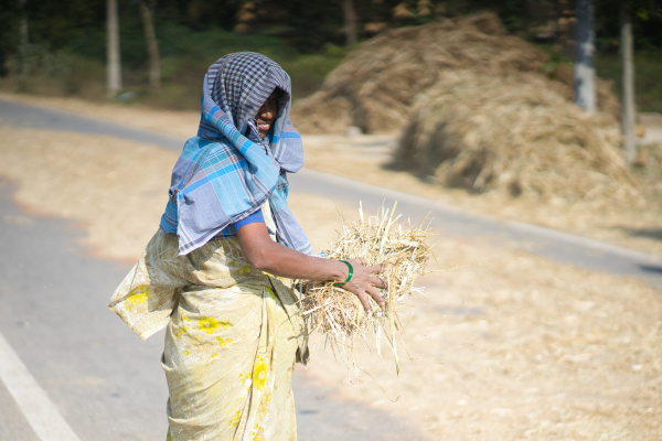 Nikkor-Ai-S-105mm-f2.5-lens-Sony-a7ii-camera-A7 03030