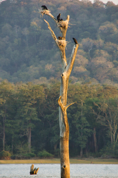 Sony-FE-24-240mm-lens-Sony-a6000-camera-DSC02979