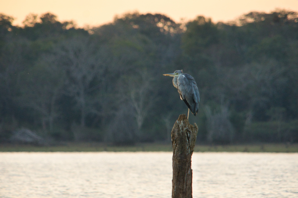 Sony-FE-24-240mm-lens-Sony-a6000-camera-DSC02992