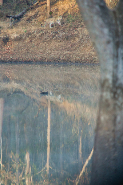 Sony-FE-24-240mm-lens-Sony-a6000-camera-DSC03044