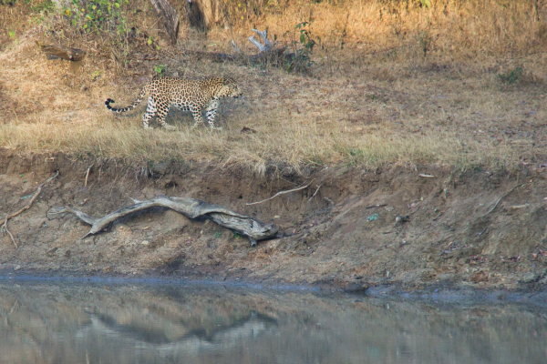 Sony-FE-24-240mm-lens-Sony-a6000-camera-DSC03061