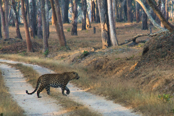 Sony-FE-24-240mm-lens-Sony-a6000-camera-DSC03080